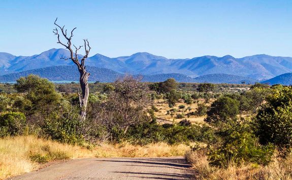 Kruger national park