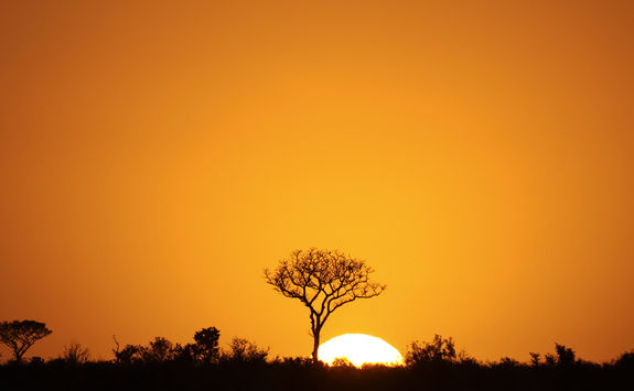 Sunset in the Kruger
