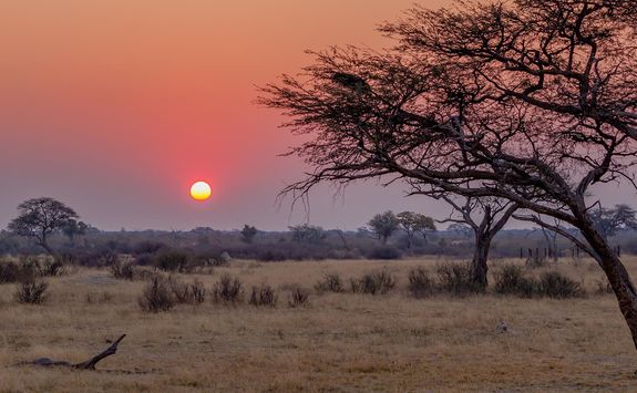Hwange National Park