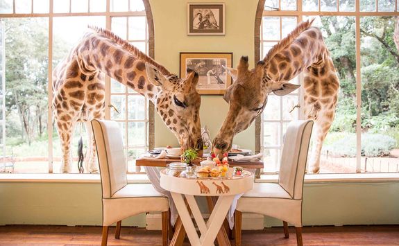 Giraffe Manor