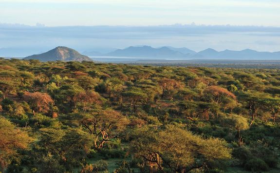 Laikipia landscape