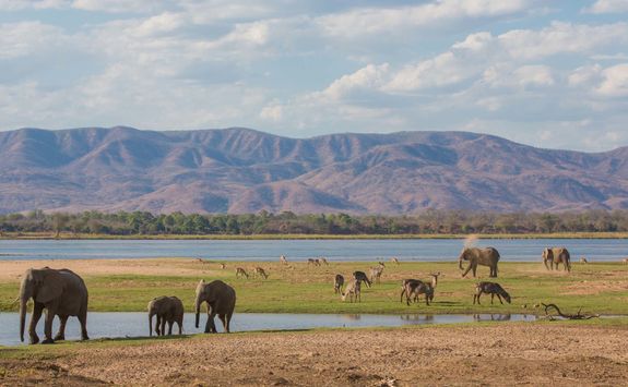 Mana Pools watering hole