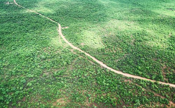 Hwange aerial shot