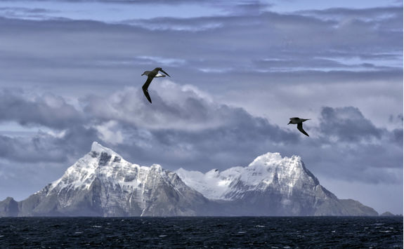 South Georgia Island