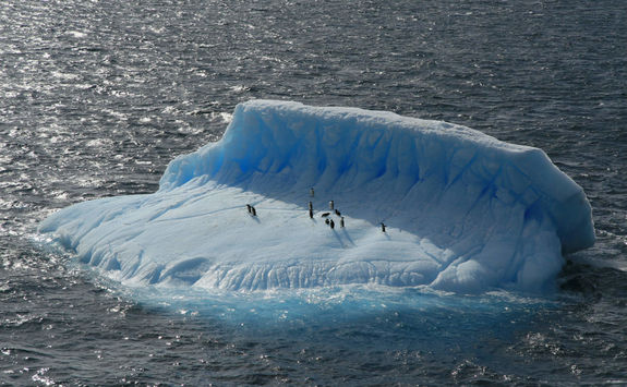 Iceberg in Drake Passage