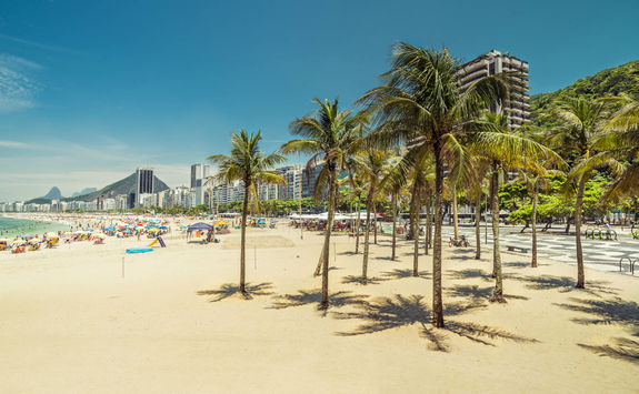Palm trees on Copacabana Beach