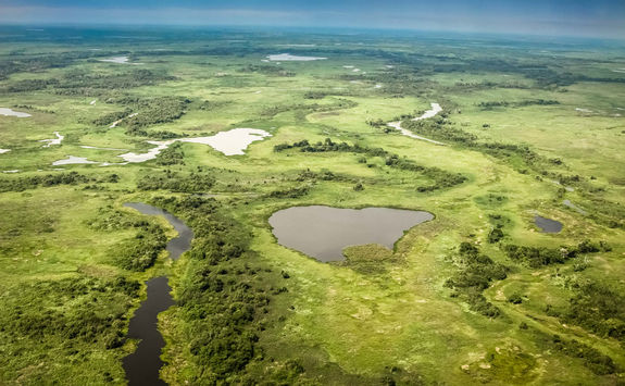 Aerial view of Pantanal wetlands
