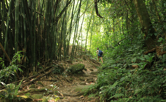 Hiking in the Amazon