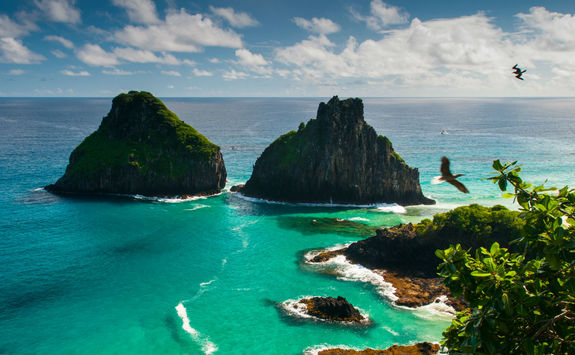 Coastline of Fernando de Noronha