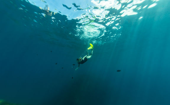 Free Diving in Fernando de Noronha