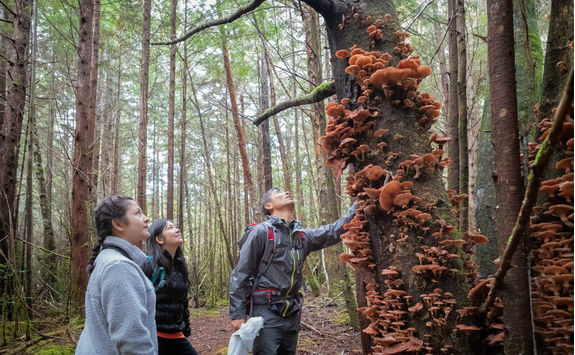 Children exploring Vancouver Island