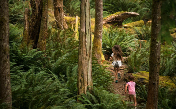 Exploring Vancouver Island