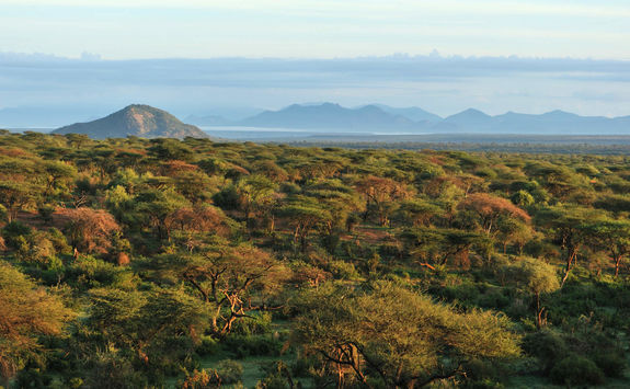 Laikipia landscape
