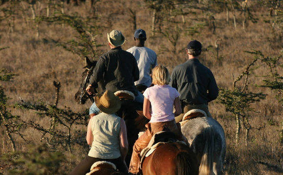 Borana horse safari