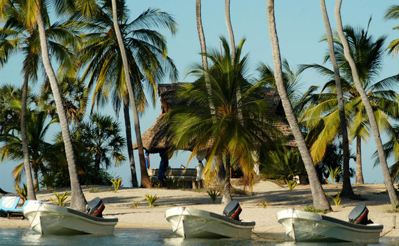 Manda boats in a row
