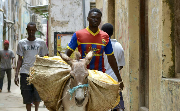 Lamu town street