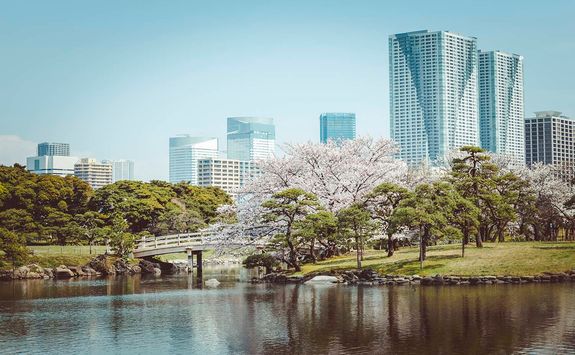 Hamarikyu gardens