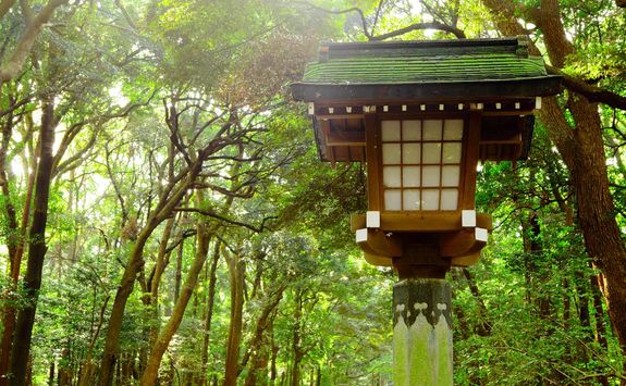 Nikko National Park lanterns