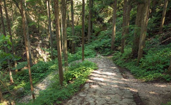 Nakasendo trail
