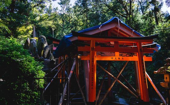 Fushimi Inari