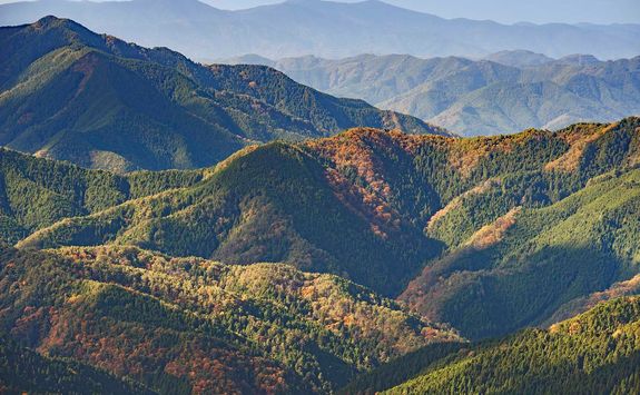 Kyosan landscape