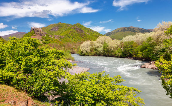 river fields nature