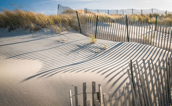 sand dunes cape cod