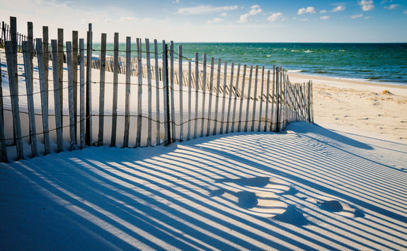 sand dunes shadows