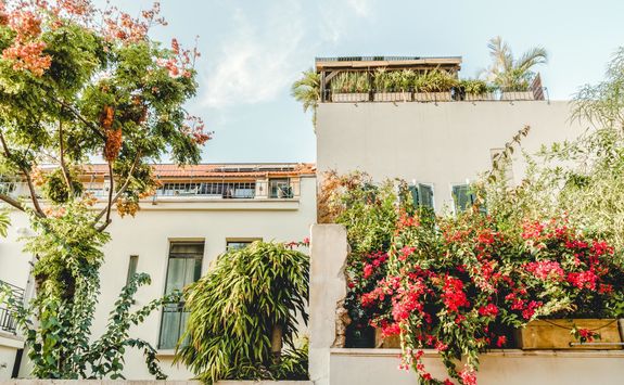 old town jaffa houses