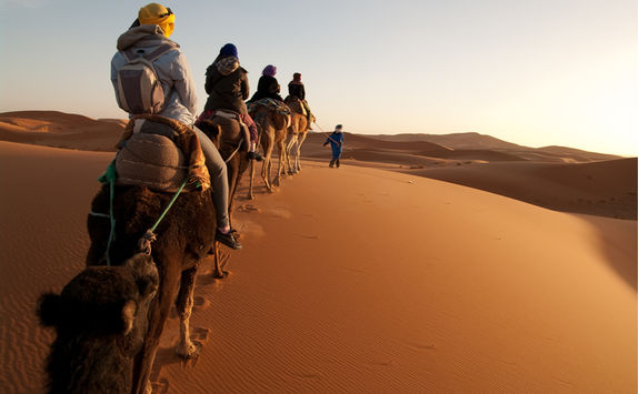 Camel Ride