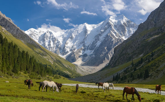 Fergana Valley