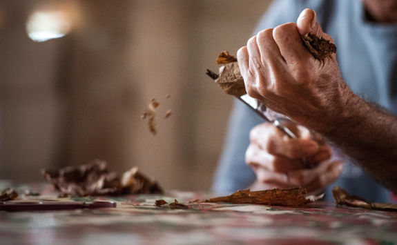 making a cigar