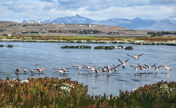 laguna niemez in el calafate