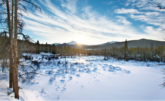 land near fraser in the snow