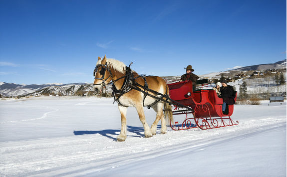 horse sleigh ride