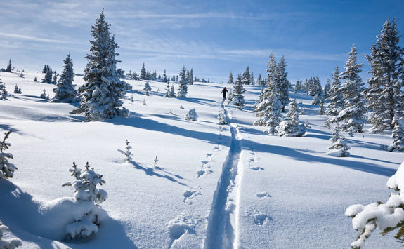 snow fun skiing