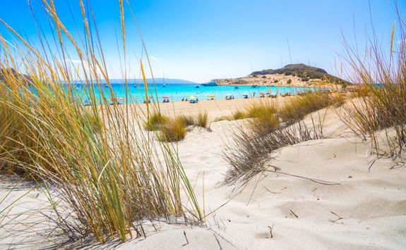 sandy beach