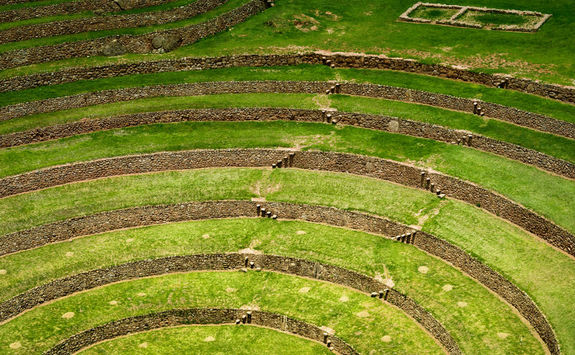 Agricultural terraces in Moray
