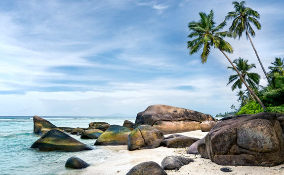 Palm fringed beach