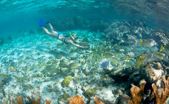 woman snorkel fish