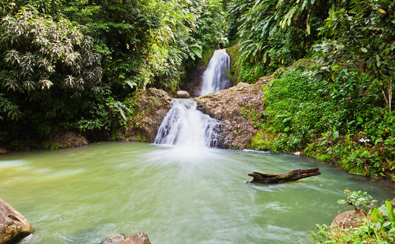 Nature pool, Grenada