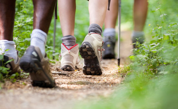 hiking in the woods