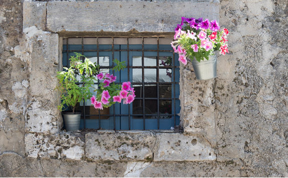 old window with flowers