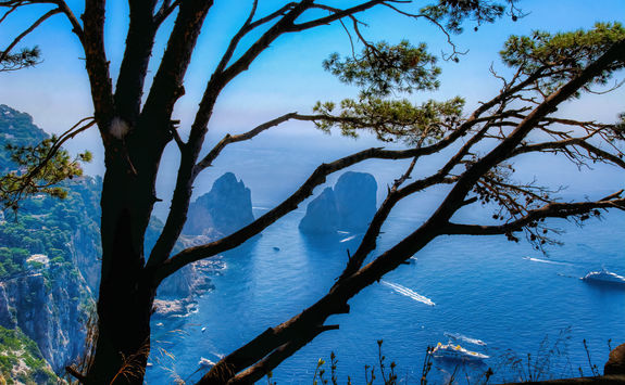 aerial view capri