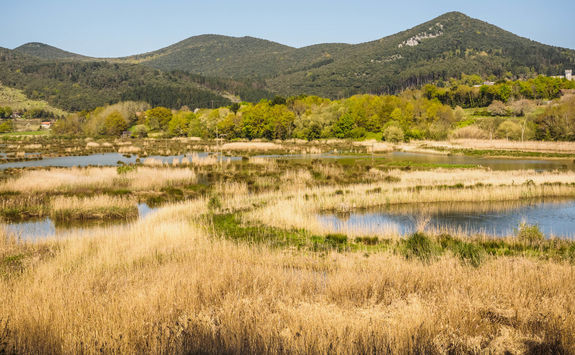 urdaibai bird center san sebastian