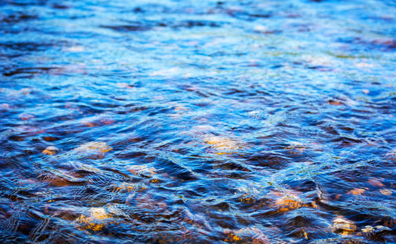 pebbles in a stream