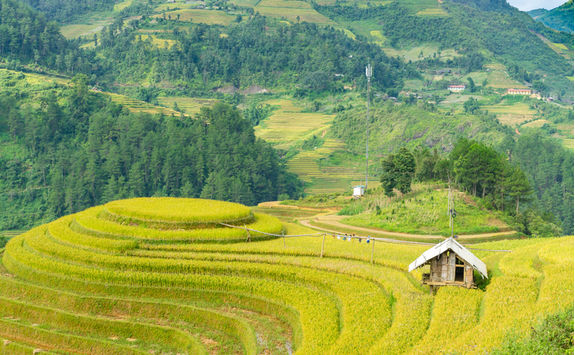countryside-rural