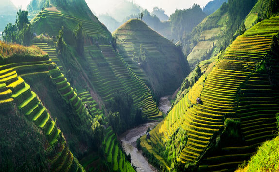rice field mu cang chai