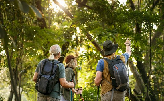 forest hikers