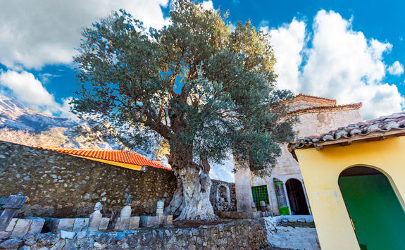 kruja fortress albania